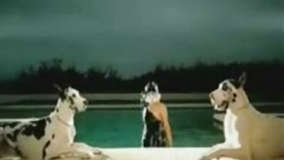 ਗੁਲਾਬੀ panties ਵਿੱਚ ਮਿਲ੍ਫ਼ ਤੀਬਰ ਹੱਥਰਸੀ ਅਤੇ orgasms